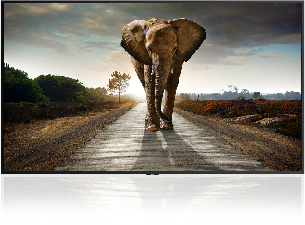 8k Display Sharp 8M-B120C