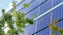 Trees in front of a building with solar panels