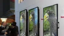 Sharp digital sign display featuring images of a bird