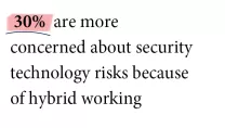 30% are more concerned about security technology risks because of hybrid working