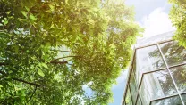greenery infront of an office building 