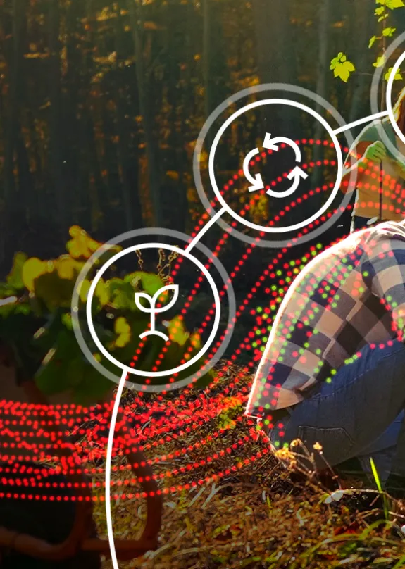 Group of people in the woods planting trees surrounded by eco friendly icons